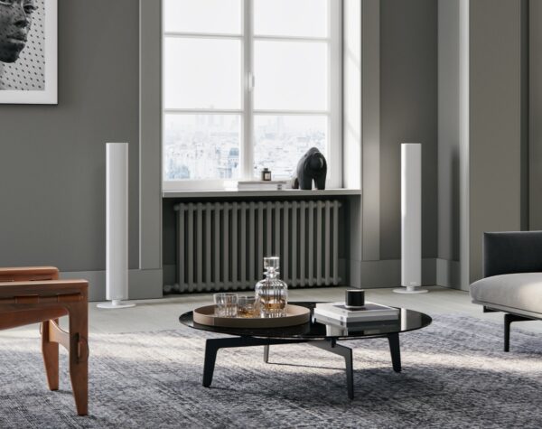 Piega Ace 50 Wireless (1)