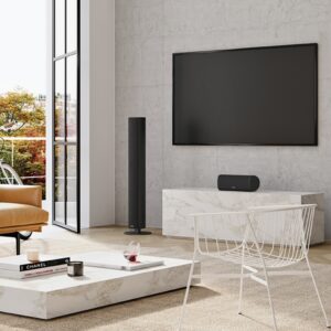 Piega Ace 50 Wireless (2)