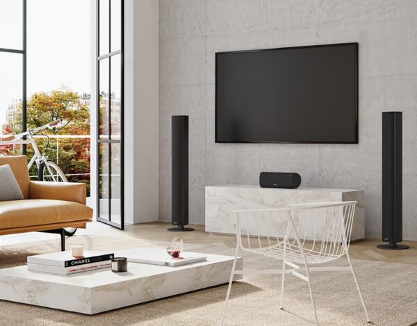 Piega Ace 50 Wireless (2)