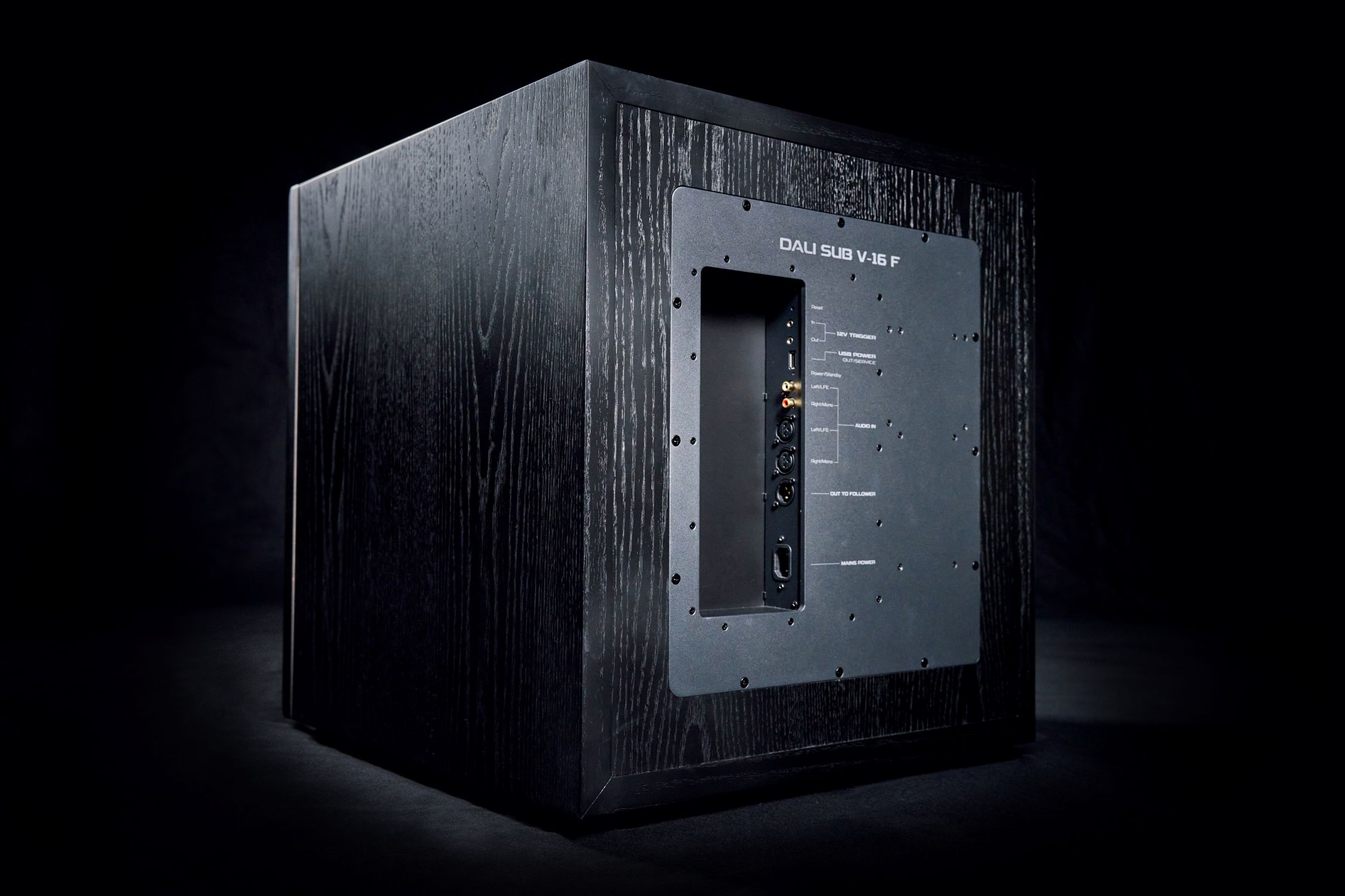 Dali Sub V-16 F (3)